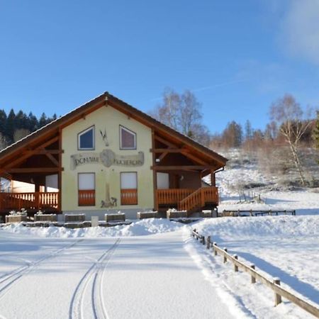 Le Chalet Du Bucheron ジェラールメ エクステリア 写真